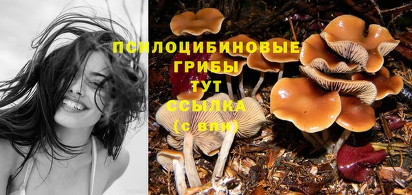 спайс Ладушкин