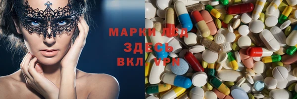 спайс Ладушкин