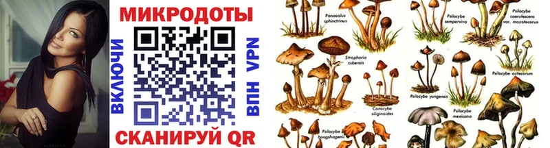 Галлюциногенные грибы Magic Shrooms Дмитров